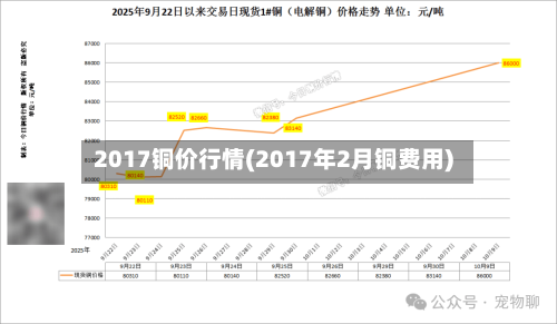 2017铜价行情(2017年2月铜费用)
