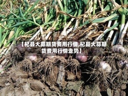 【杞县大蒜期货费用行情,杞县大蒜期货费用行情走势】