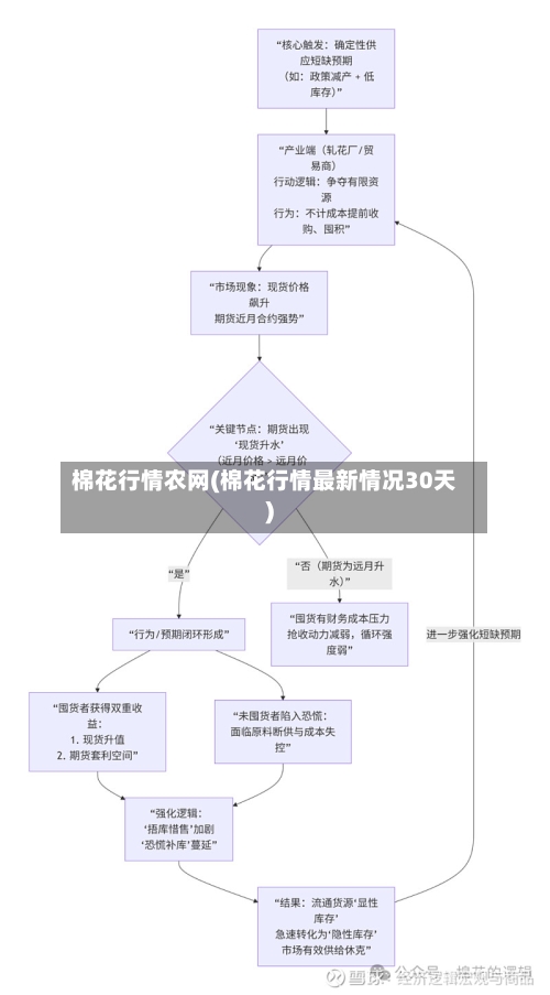 棉花行情农网(棉花行情最新情况30天)-第2张图片