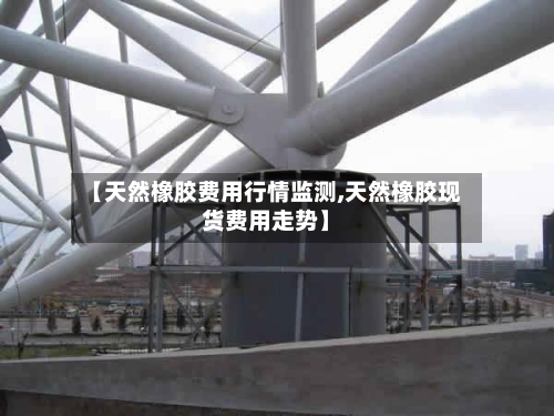 【天然橡胶费用行情监测,天然橡胶现货费用走势】