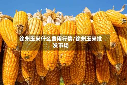 徐州玉米什么费用行情/徐州玉米批发市场-第2张图片