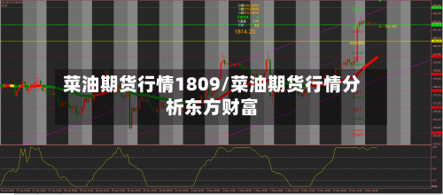 菜油期货行情1809/菜油期货行情分析东方财富-第2张图片