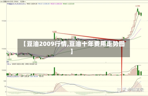 【豆油2009行情,豆油十年费用走势图】-第2张图片