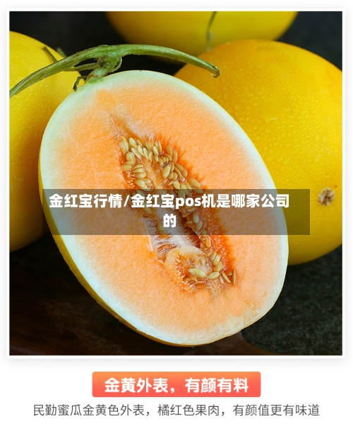 金红宝行情/金红宝pos机是哪家公司的