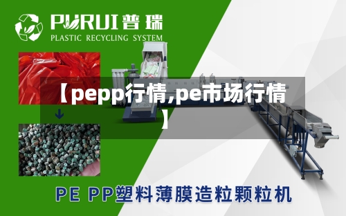 【pepp行情,pe市场行情】