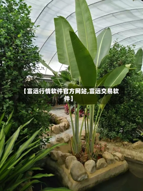 【富远行情软件官方网站,富远交易软件】-第3张图片