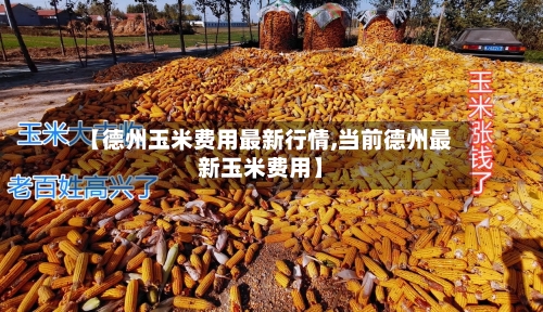 【德州玉米费用最新行情,当前德州最新玉米费用】-第2张图片