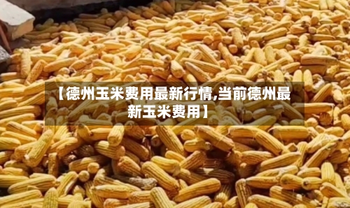 【德州玉米费用最新行情,当前德州最新玉米费用】