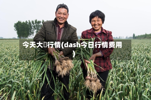 今天大祘行情(dash今日行情费用)-第2张图片