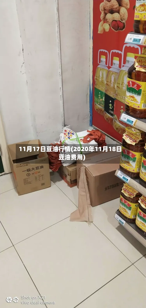 11月17日豆油行情(2020年11月18日豆油费用)-第3张图片
