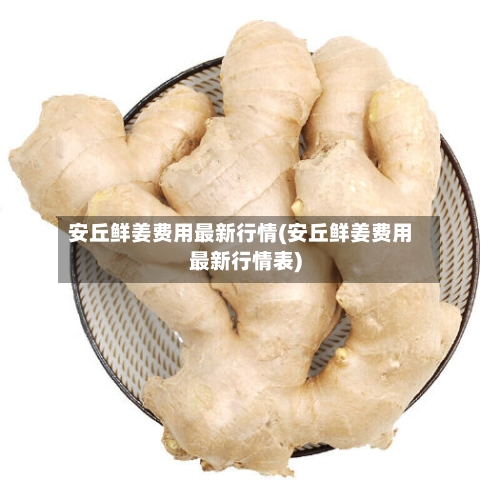安丘鲜姜费用最新行情(安丘鲜姜费用最新行情表)-第2张图片