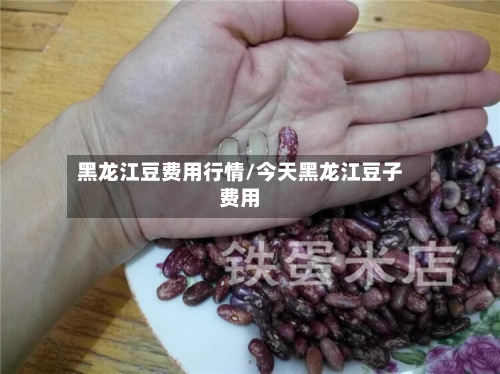 黑龙江豆费用行情/今天黑龙江豆子费用
