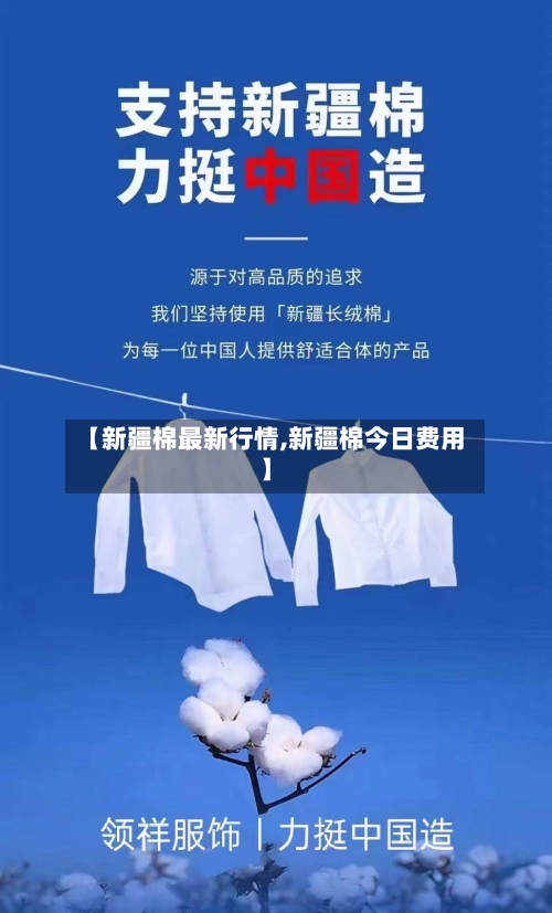 【新疆棉最新行情,新疆棉今日费用】