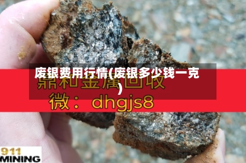 废银费用行情(废银多少钱一克)