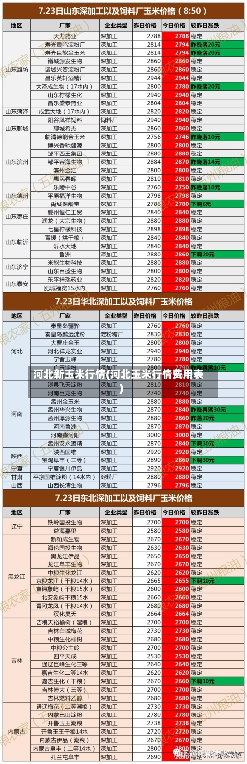 河北新玉米行情(河北玉米行情费用表)-第3张图片