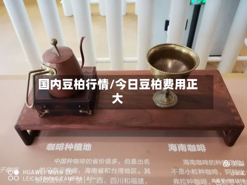 国内豆柏行情/今日豆柏费用正大-第2张图片