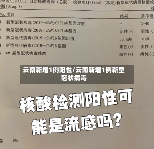 云南新增1例阳性/云南新增1例新型冠状病毒