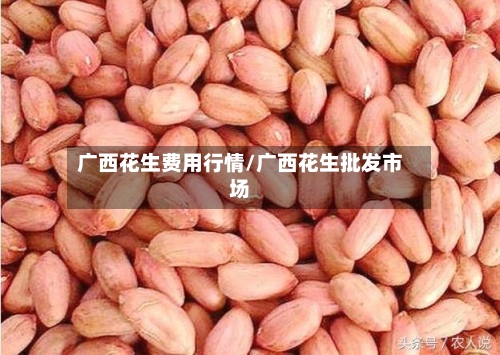 广西花生费用行情/广西花生批发市场