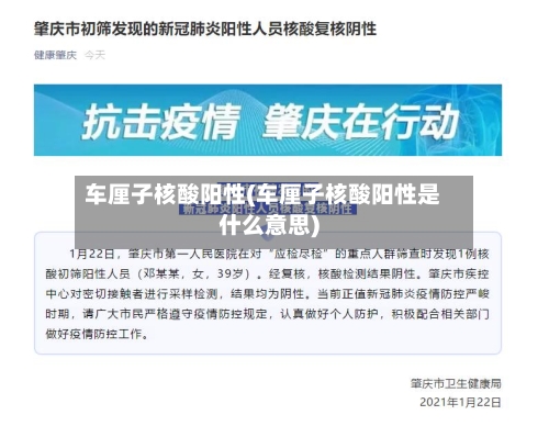 车厘子核酸阳性(车厘子核酸阳性是什么意思)