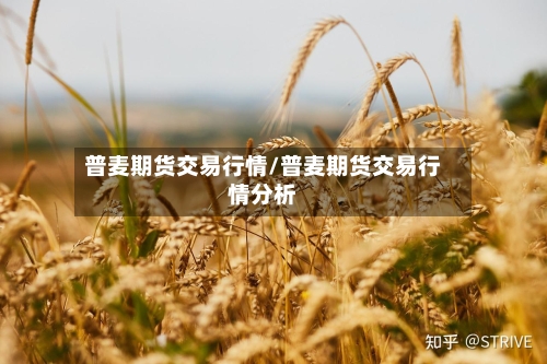 普麦期货交易行情/普麦期货交易行情分析-第3张图片