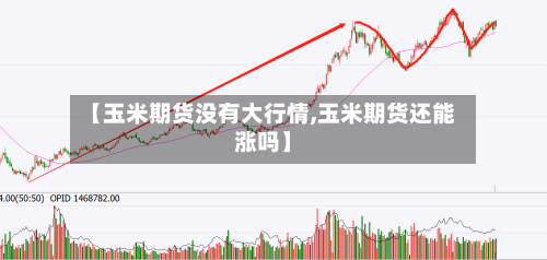 【玉米期货没有大行情,玉米期货还能涨吗】