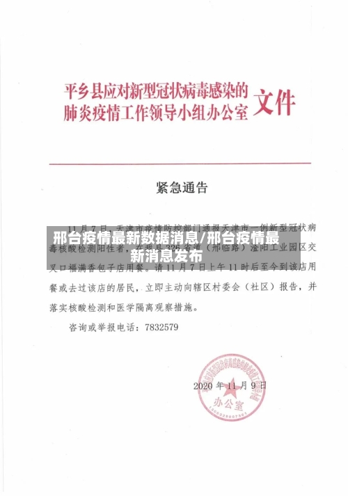 邢台疫情最新数据消息/邢台疫情最新消息发布-第2张图片