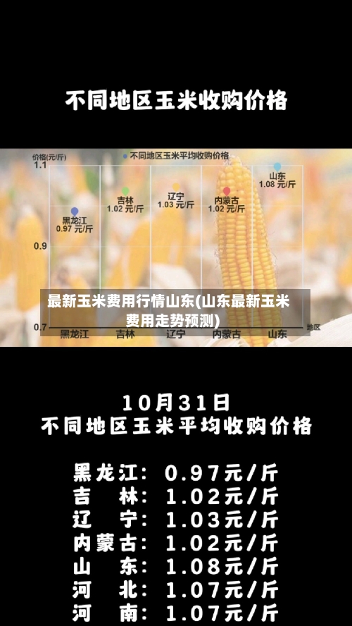 最新玉米费用行情山东(山东最新玉米费用走势预测)