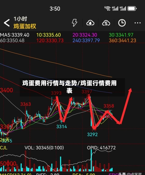 鸡蛋费用行情与走势/鸡蛋行情费用表-第2张图片