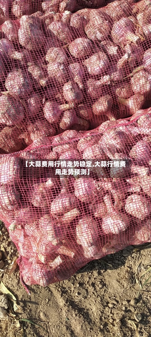【大蒜费用行情走势稳定,大蒜行情费用走势预测】