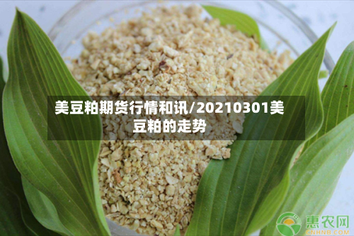 美豆粕期货行情和讯/20210301美豆粕的走势