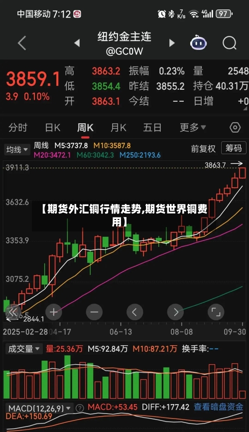 【期货外汇铜行情走势,期货世界铜费用】-第2张图片