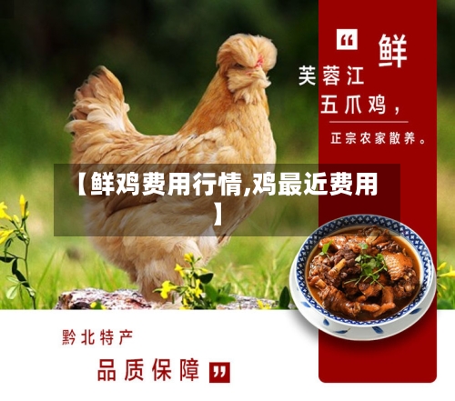 【鲜鸡费用行情,鸡最近费用】-第2张图片