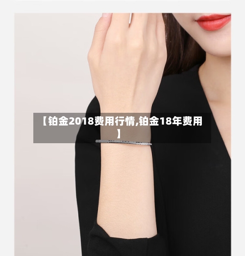 【铂金2018费用行情,铂金18年费用】-第3张图片