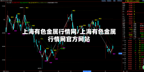 上海有色金属行情网/上海有色金属行情网官方网站-第2张图片