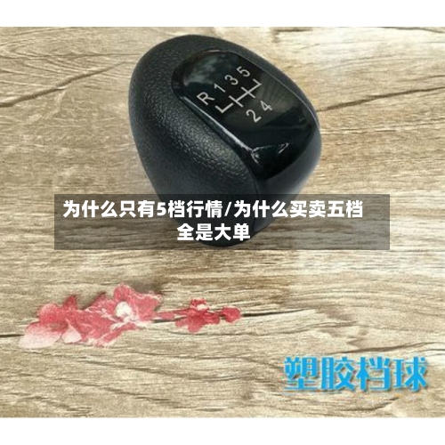 为什么只有5档行情/为什么买卖五档全是大单-第3张图片