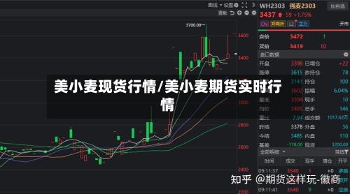 美小麦现货行情/美小麦期货实时行情