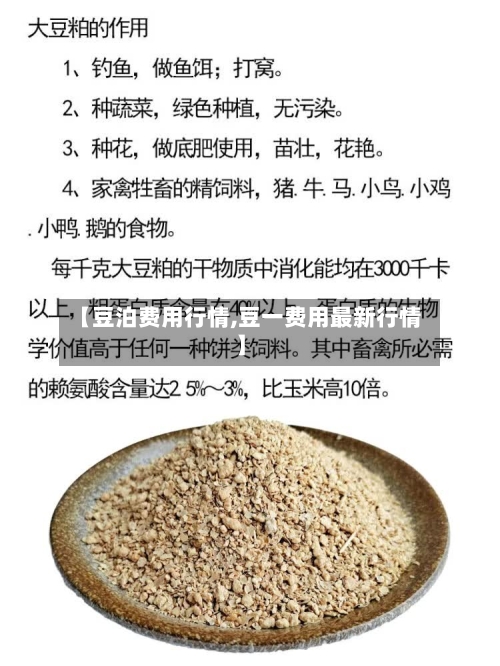 【豆泊费用行情,豆一费用最新行情】-第3张图片