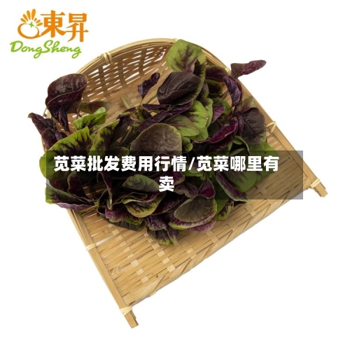 苋菜批发费用行情/苋菜哪里有卖-第2张图片