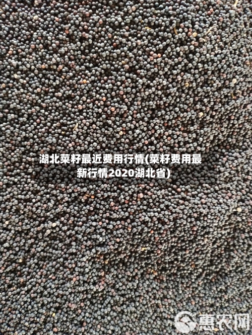 湖北菜籽最近费用行情(菜籽费用最新行情2020湖北省)-第2张图片