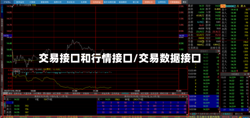 交易接口和行情接口/交易数据接口