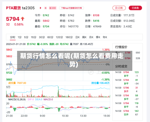 期货行情怎么看呢(期货怎么看费用走势)