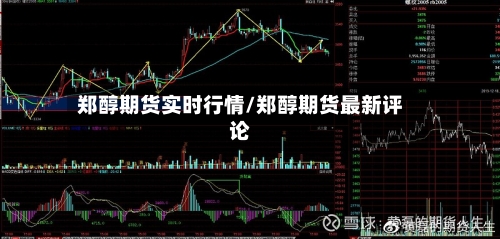 郑醇期货实时行情/郑醇期货最新评论-第3张图片