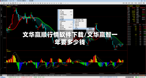 文华赢顺行情软件下载/文华赢智一年要多少钱-第2张图片