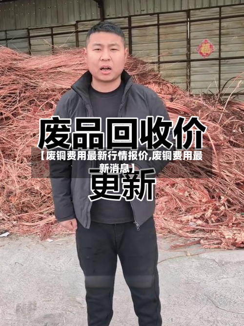 【废铜费用最新行情报价,废铜费用最新消息】-第2张图片