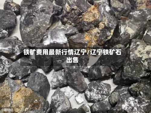 铁矿费用最新行情辽宁/辽宁铁矿石出售-第3张图片