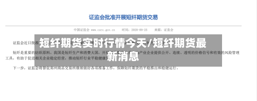短纤期货实时行情今天/短纤期货最新消息-第3张图片