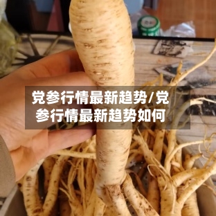 党参行情最新趋势/党参行情最新趋势如何