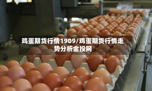鸡蛋期货行情1909/鸡蛋期货行情走势分析金投网-第2张图片