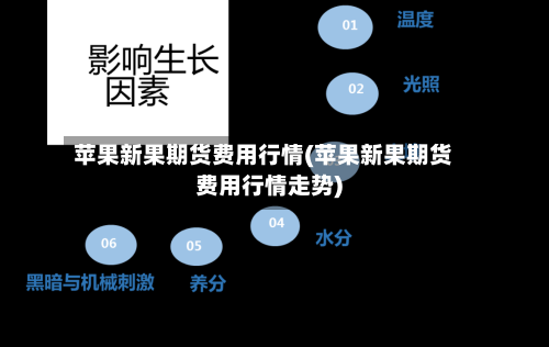 苹果新果期货费用行情(苹果新果期货费用行情走势)-第2张图片