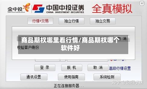 商品期权哪里看行情/商品期权哪个软件好-第3张图片